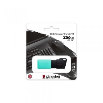 PENDRIVE KINGSTON DATATRAVELER EXODIA M 256GB MEMORIA USB 3.2 GEN1