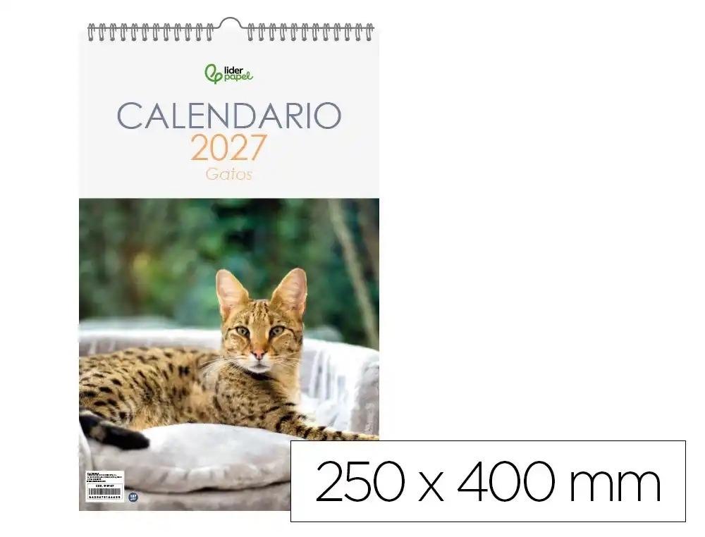CALENDARIO ESPIRAL PARED LIDERPAPEL IMAGENES GATOS 2027 PARA ESCRIBIR 250X400 MM PAPEL 157 G
